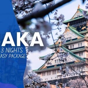 Osaka 4 Days & 3 Nights Free & Easy Package