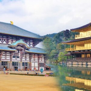 Sunrise Kyoto & Nara Bus Tour - 1-Day Kyoto & Nara Tour with Western-Style Menu Lunch (Round-trip from Osaka)