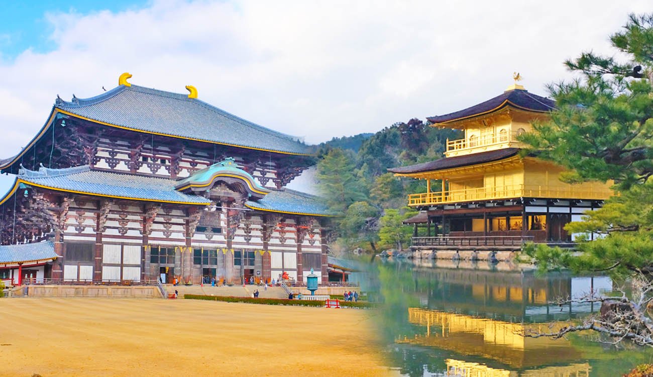 Sunrise Kyoto & Nara Bus Tour - 1-Day Kyoto & Nara Tour with Western-Style Menu Lunch (Round-trip from Osaka)