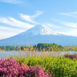 Sunrise Tours Mt. Fuji & Hakone Tours - 1-Day Mt. Fuji & Hakone Tour [Return by Bus] With Lunch (Round Trip from Shinjuku)