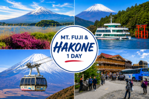 Sunrise Tours Mt. Fuji & Hakone Tours - 1-Day Mt. Fuji & Hakone Tour [Return by Bus] With Lunch (Round Trip from Shinjuku)