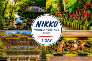 Sunrise Nikko Tour - 1-Day World Heritage Nikko Walking Tour, With Standard Lunch (Round Trip from Shinjuku, Limited Express to Nikko
