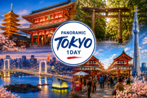 1-Day Panoramic Tour by Hato Bus (From Shinjuku)